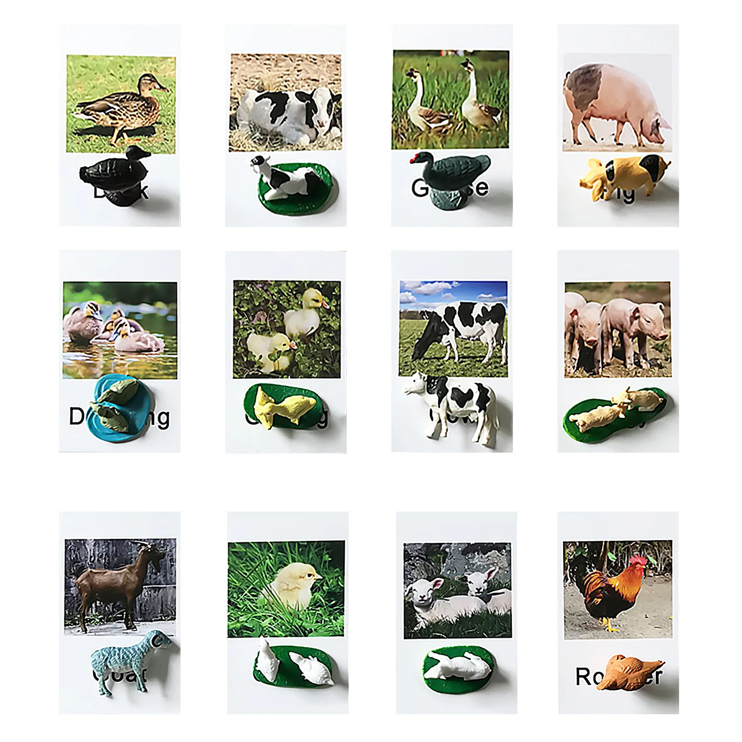 12 шт. дети насекомых животноводческая ферма животных морских Диких Животных