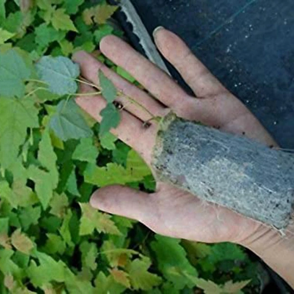 400 шт 4 размера нетканые мешки для питомника разлагаемые растения выращивания
