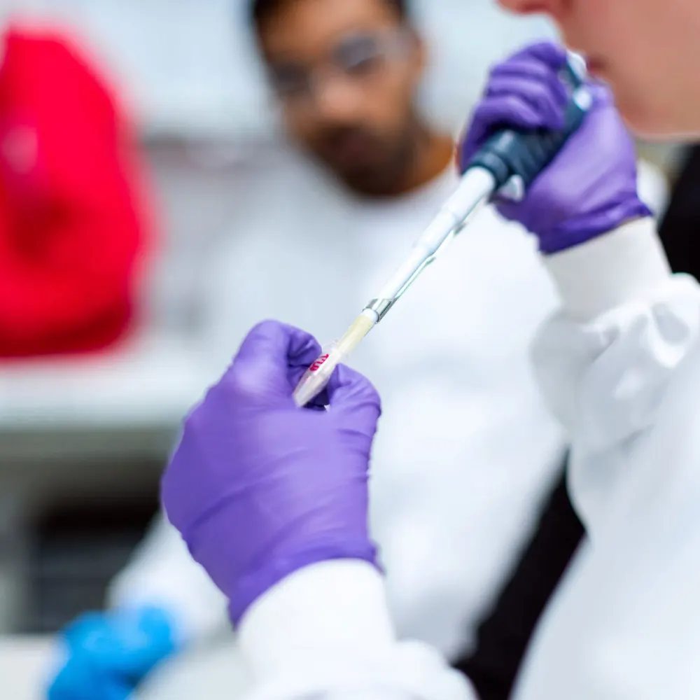 

2500 Pcs Laboratory Pipette Tips Pipettor Tip Pipettor Pipette Tips