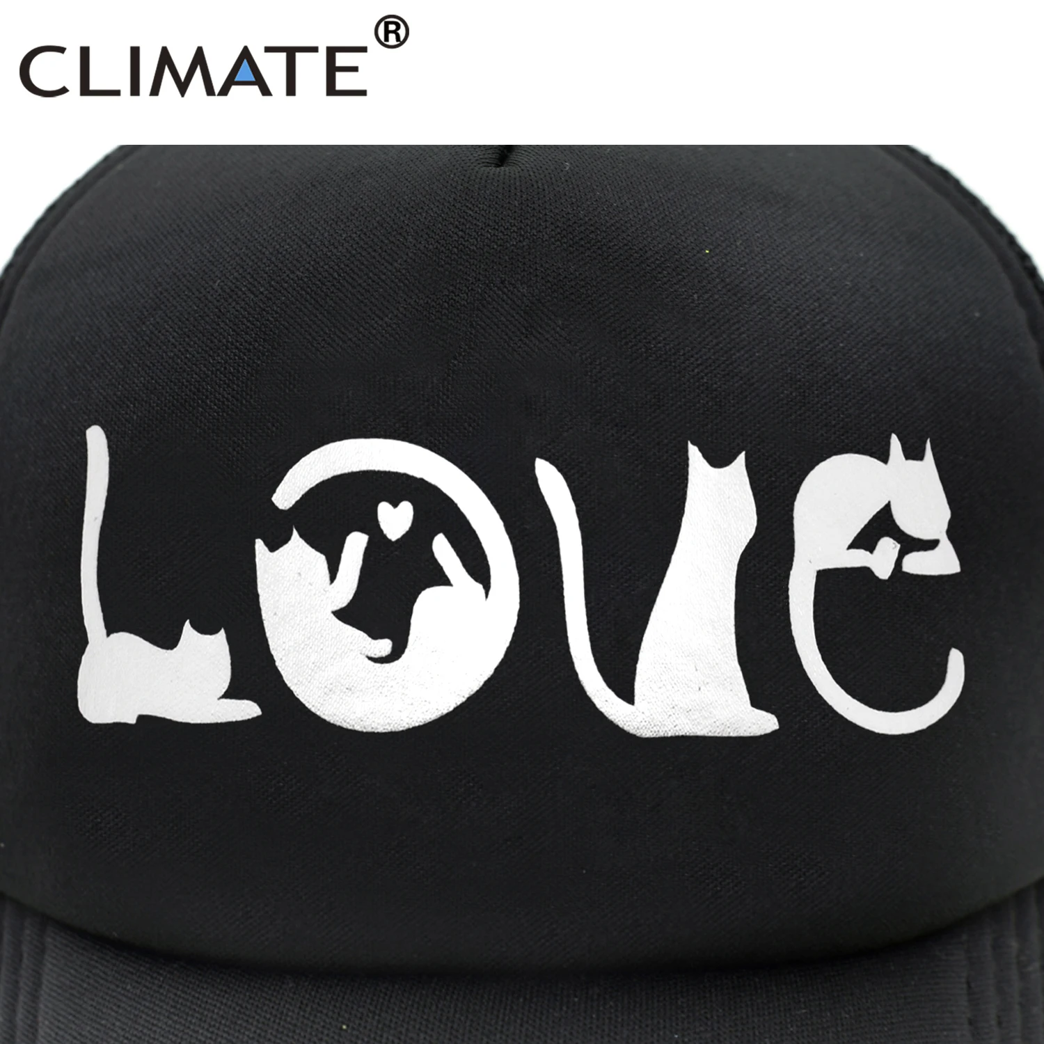 Климатическая кошка заклинание любовь искусственная милая забавная шапка в