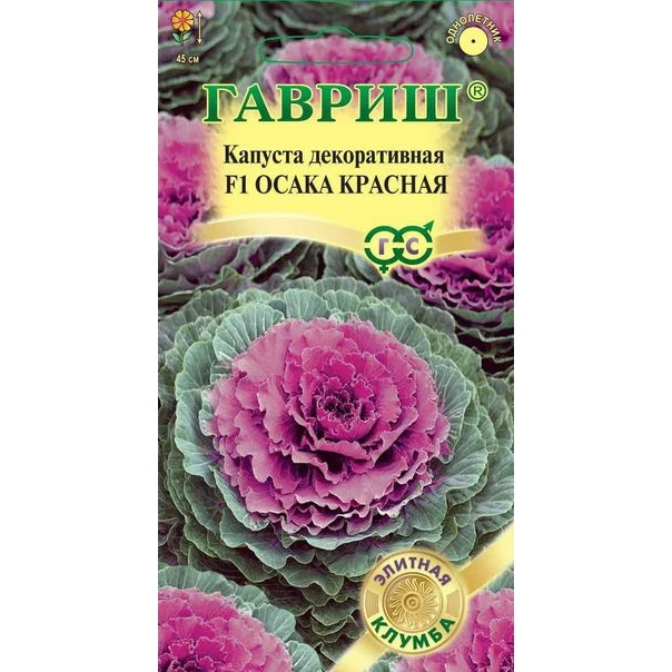 Купить Семена Декоративной Капусты В Интернет Магазине