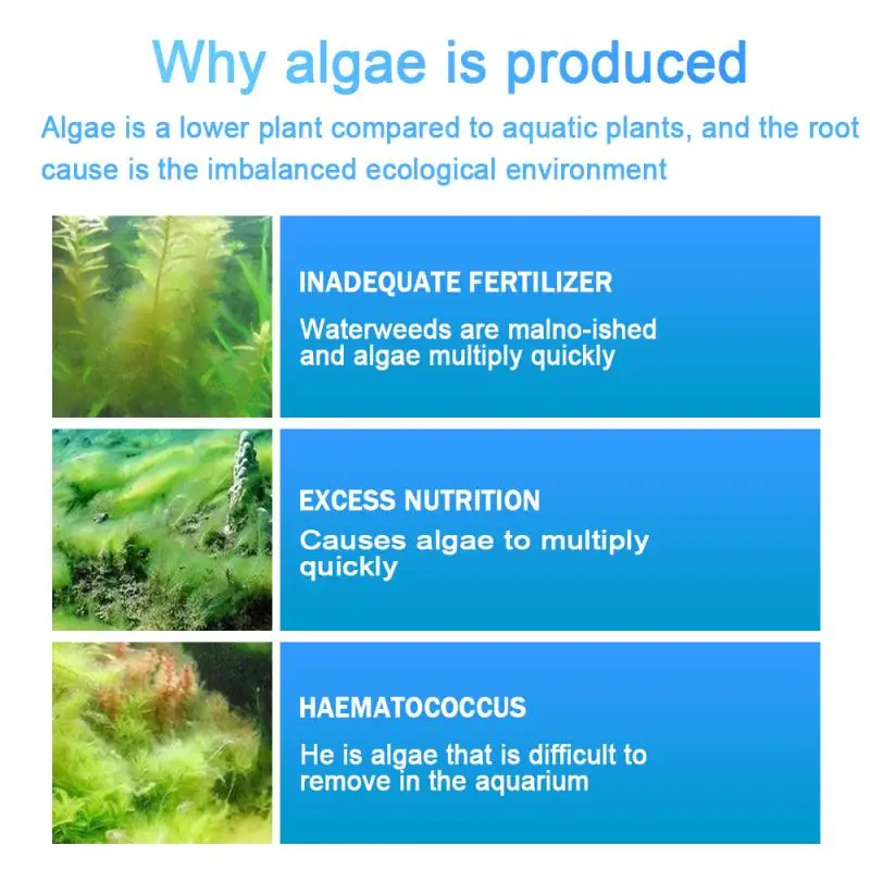 

Hot 50g Powder Tablet Algae Repellent Agent Fish Tank Moss Remover Aquarium Algaecide Purification Water Algae Detergent TSLM1