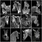 Картина из страз с изображением зебры, черного и белого цветов