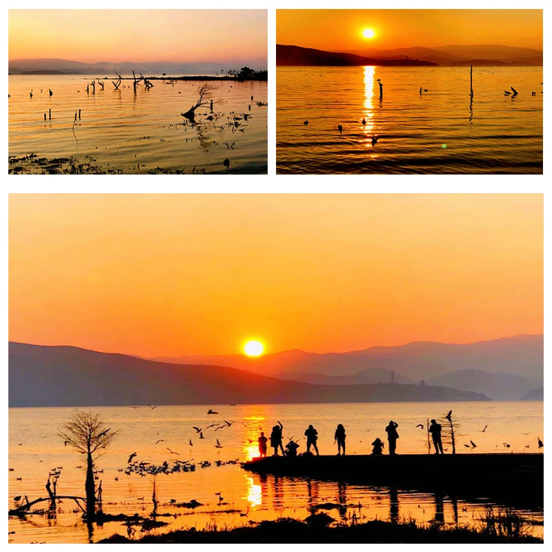 

5D Diy Diamond Painting Home Room Flower Birds Cross Stitch Full Drill Scenery Embroidery Cute Handmade Wall Decor Gift