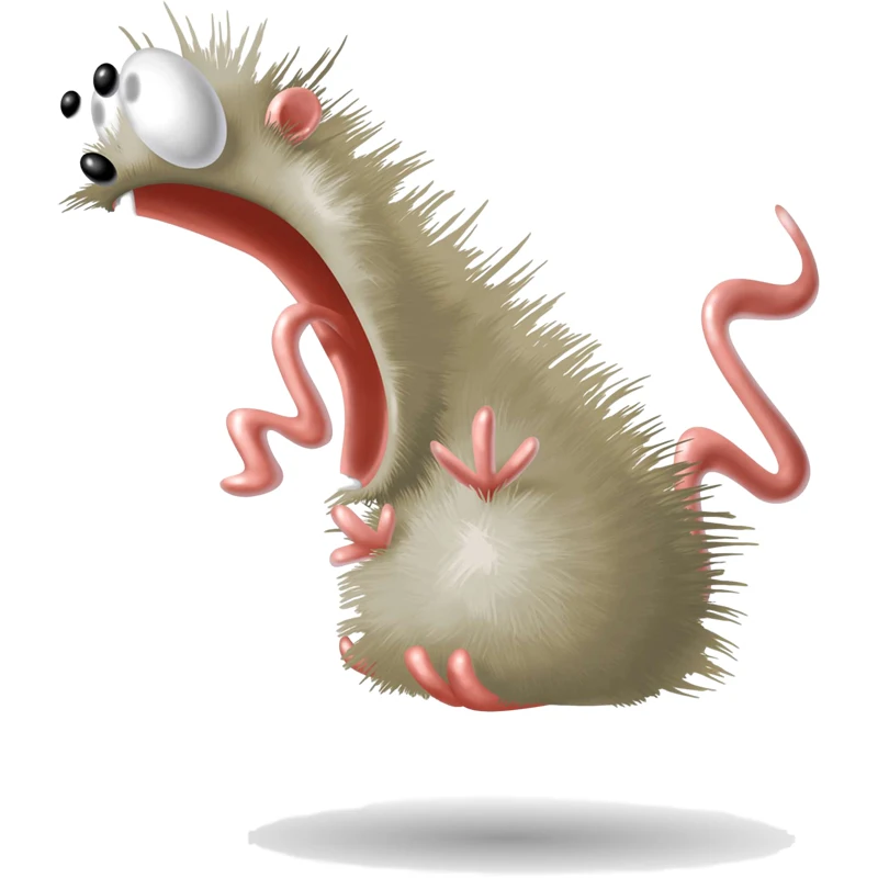 

Funny Animal Stickers The Frightened Mouse Window Sticker Car Sticker Decals