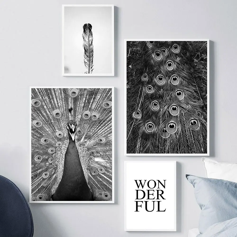 Павлин холст картины для гостиной стены искусства черно белые плакаты и принты