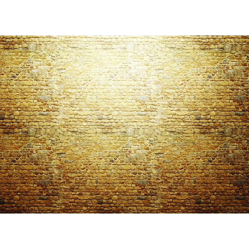 

SHENGYONGBAO Vinyl Custom Photography Backdrops Brick Wall Theme Photo Studio Background 20026KM-09