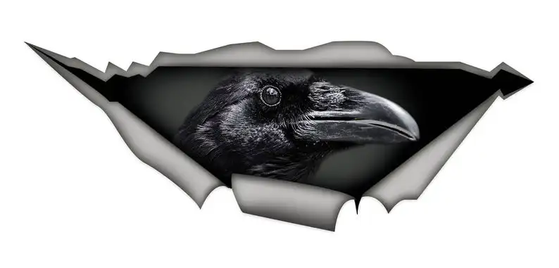 

2021 Crow car decal, black bird decal, bird sticker, crow sticker