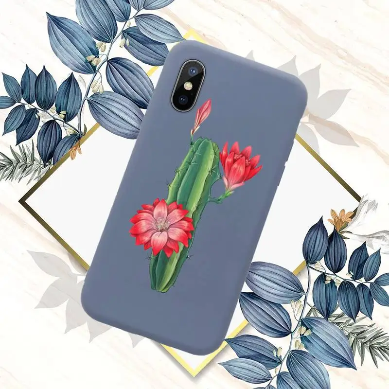 

Cute cactus Green plants Phone Case Candy Color for iPhone 11 12 mini pro XS MAX 8 7 6 6S Plus X SE 2020 XR