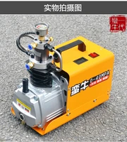 40Mpa High Pressure Air Pump Electric Mini Air Compressor Water Cooled Air Pump With Oil-water Separator 220V