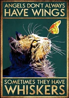 angels dont always have wings sometimes have whiskers cat tin sign wall decor for cat lovers cute cat butterfly