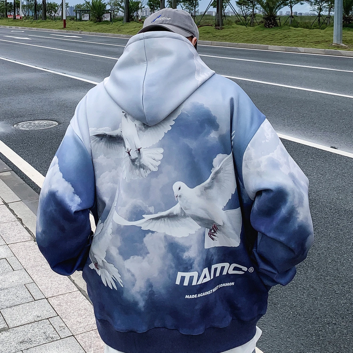 LACIBLE градиент голубь с буквенным принтом толстовки капюшоном Мужские 2019 Harajuku