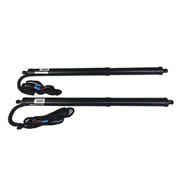 DS-261 2017 + авто электрический автомобиль Электрический хвост ворота лифт задняя