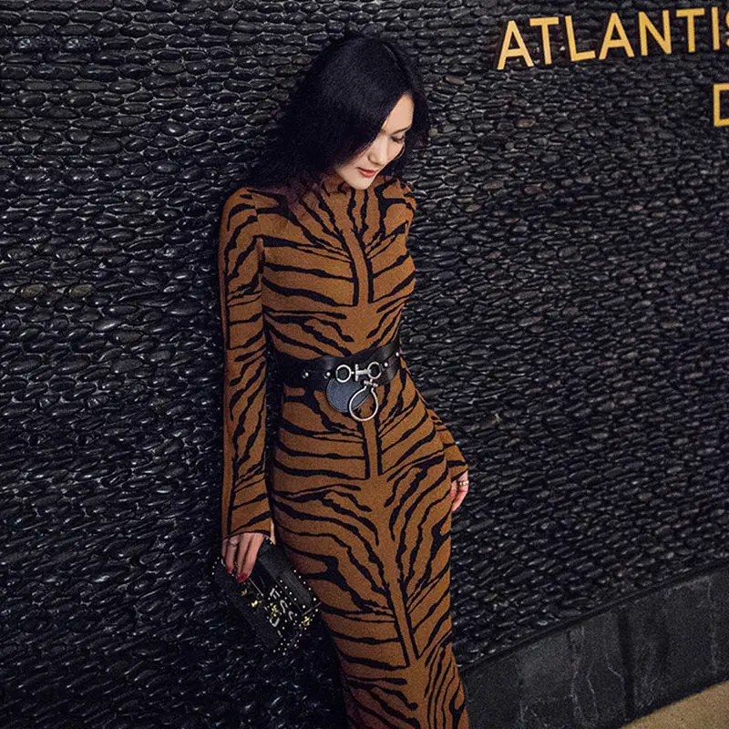 

New Fashion Leopard Print Bag Hip One Step Dress Mid-length Bottoming Dress Female 2021 Spring And Autumn Sexy Maxi Dress
