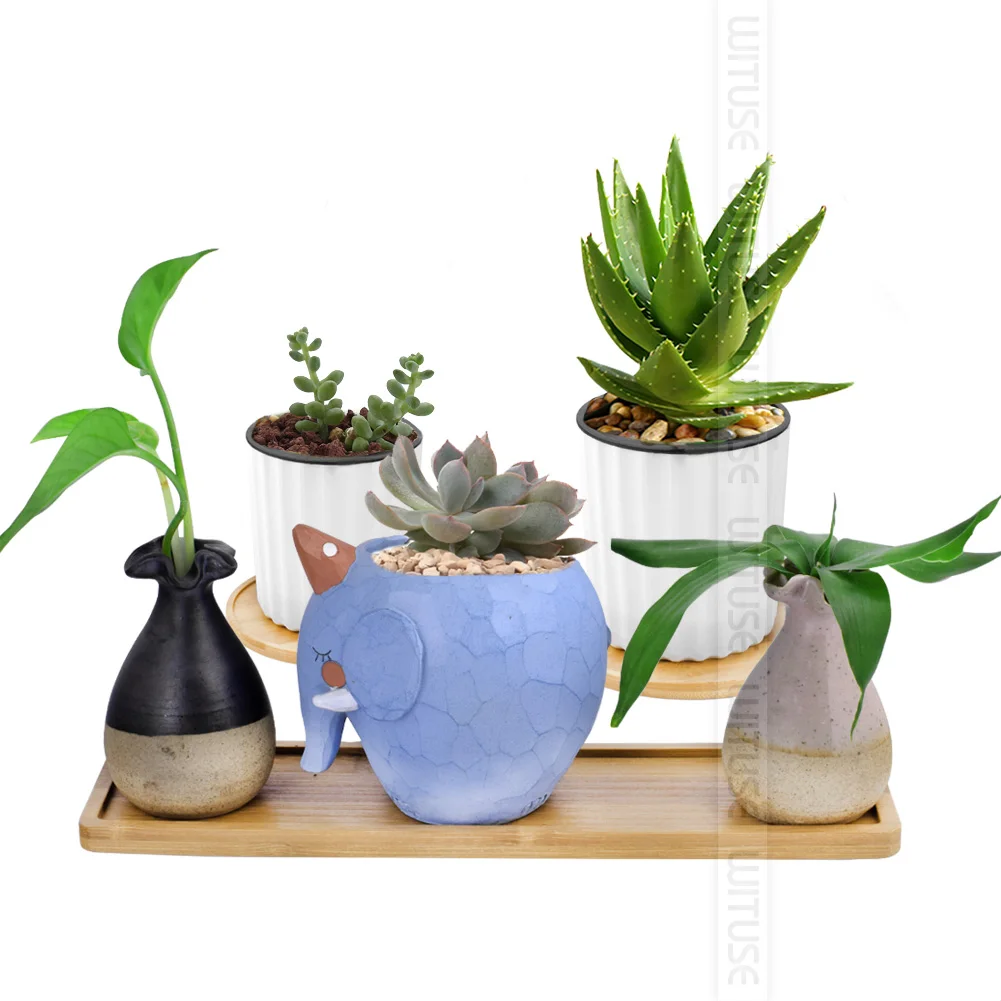 

12pcs bamboo wood saucer plant tray mini plant flower pot stand favor succulent pot tray simple elegant design home balcony