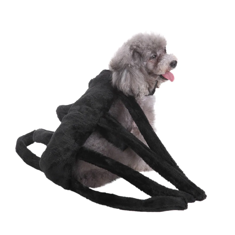 Хэллоуин для домашней собаки костюмы крылья летучей мыши вампира черного цвета