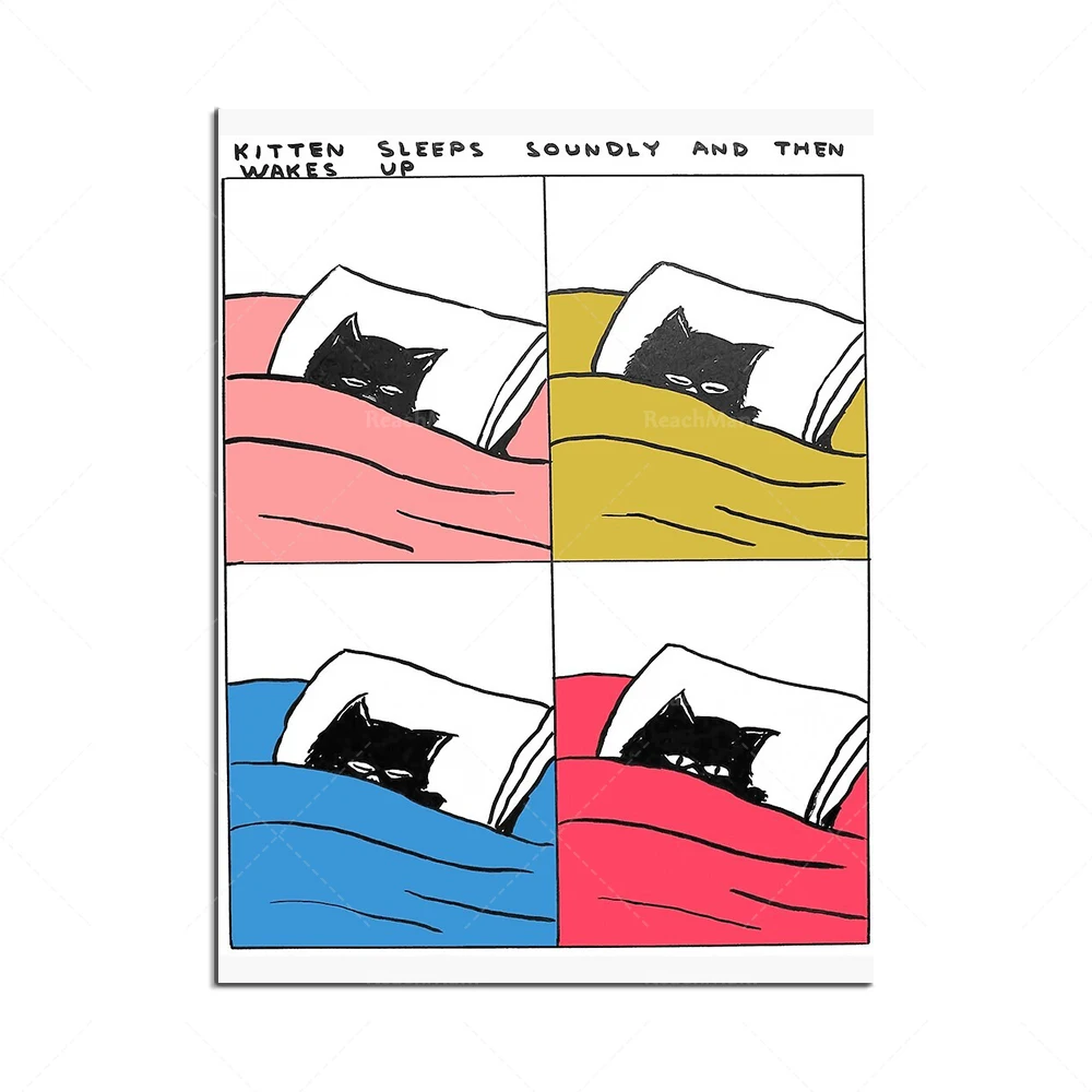 Картина на холсте с изображением животных Дэвида шригли Забавный настенный