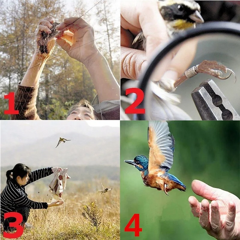 

9 Sizes Anti Bird Catcher Netting Pond Net Multi-function Pond Fishing Net Traps Crops Fruit Tree Mesh Protect Pest Control