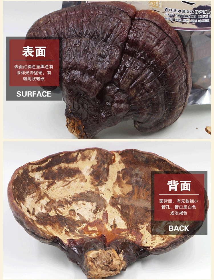 500 г/1000 г натуральный высококачественный Ganoderma lucidum Ganoderma