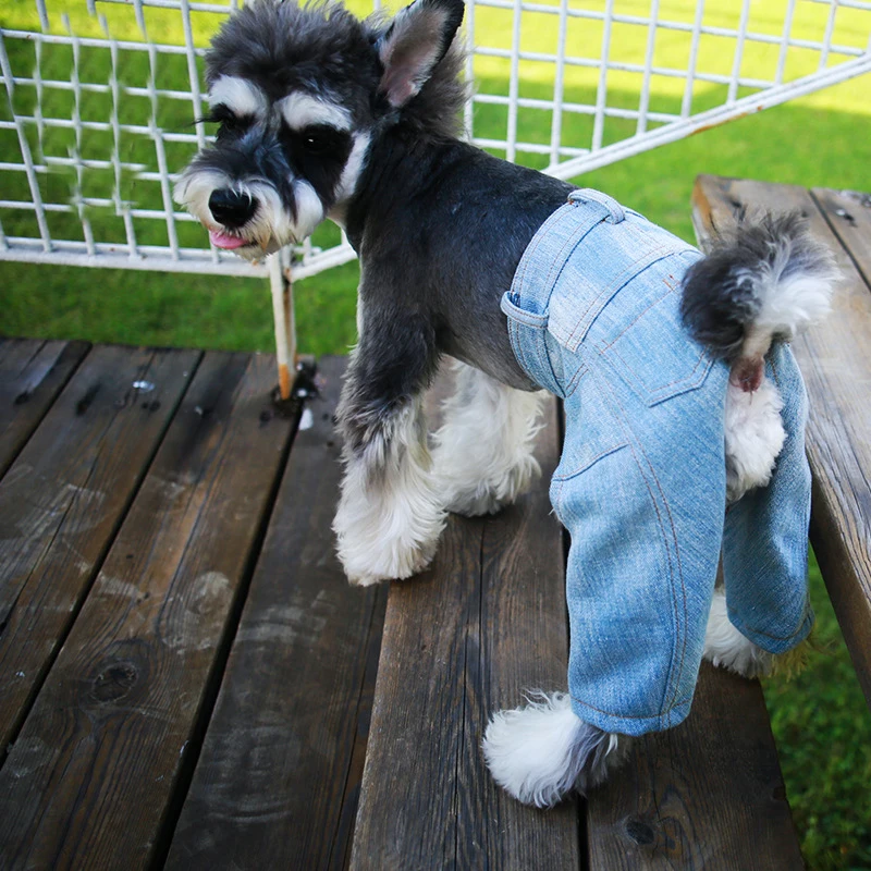 Маленькая собака джинсы пальто куртка Cool Cat на лето и весну щенок комбинезон в