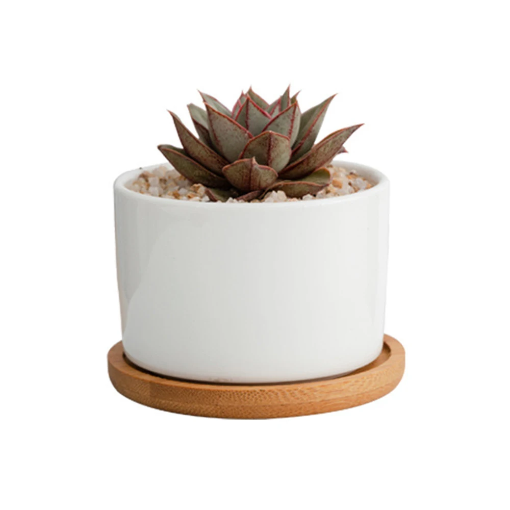 

Succulent Flower Pot White Porcelain Flowerpot Planting Oragnizer Simplicity Desk Decoration Indoor Potted Plants