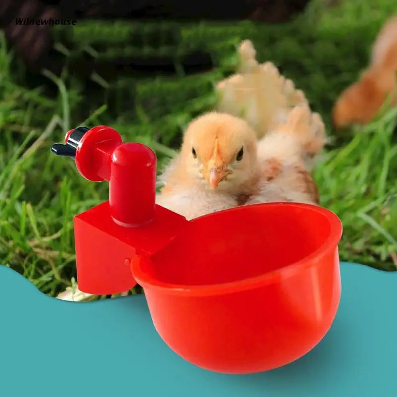 

Poultry Drinking Waterer Cups for Chicken Quail Thickened Plastic Water Bowls Drinker Farm Automatic Watering Supplies