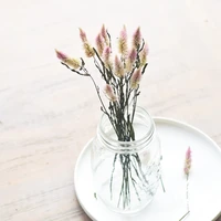 1520pcs natural dried pink omber flowers christmas valentines day gift wedding touch decor babybreath bouquet no vase