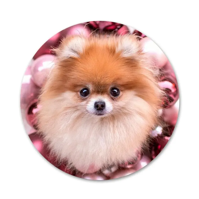 Брошь значок косплея с изображением милого померанского собаки аксессуары для