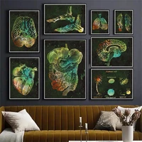 graffiti anatomy art medical canvas painting fluorescent color organs heart lung posters prints education hospital wall pictures