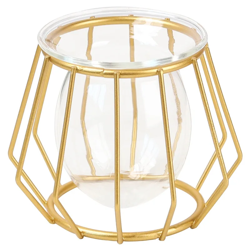 

Retro Wrought Iron Glass Vase Metal Geometric Shape Hydroponic Plant Flower Container Nordic Style Home Decoration