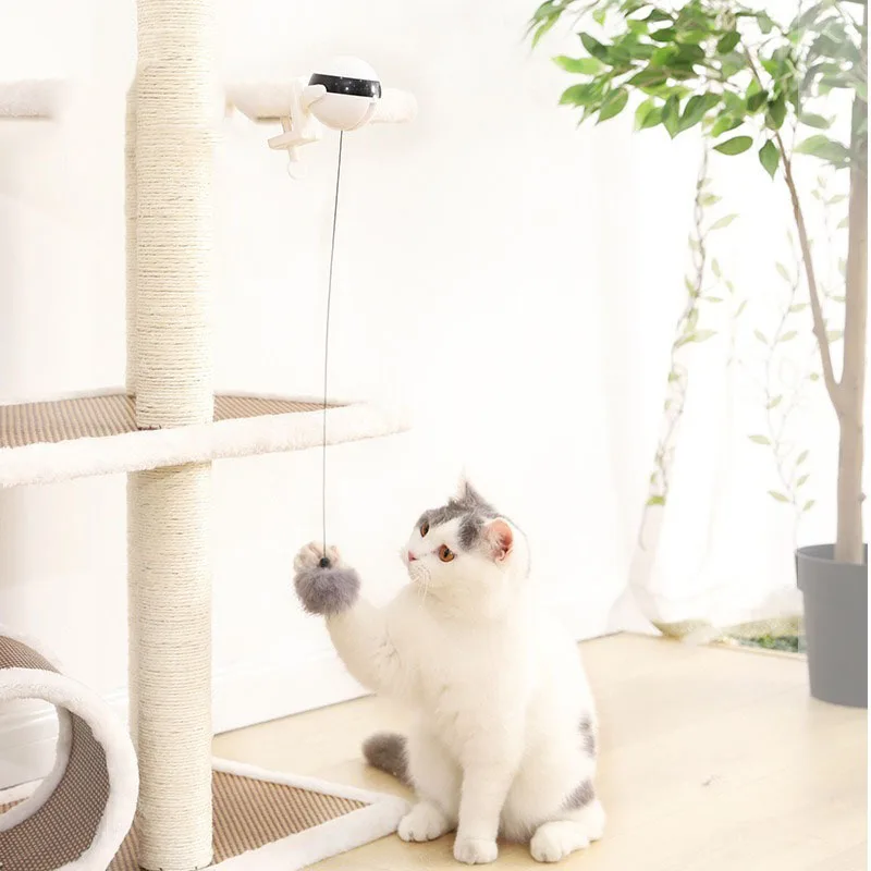 

Pet Interaction Teaser Ball