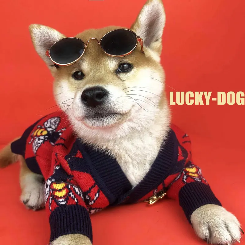 

Одежда для домашних животных, одежда для собак, кардиган, свитер, пальто, осенняя одежда, сохраняющая тепло, с Пчелой, дизайнерская Роскошная...