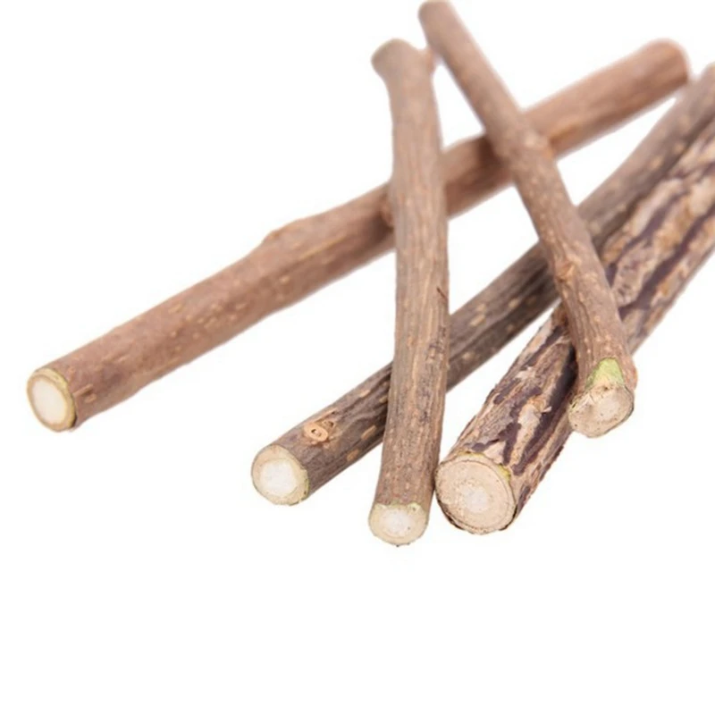 

5pcs Cat Cleaning Teeth Natural Catnip Pet Cat Molar Toothpaste Stick Matatabi Actinidia Fruit Silvervine Cat Snacks Sticks
