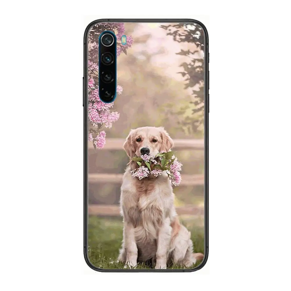 

Teddy Bulldog Pomeranian Corgi Golden dog Cool cartoon Phone Case For XiaoMi Redmi Note 9S 8 7 6 5 A Pro T Y1 Anime Black Cov