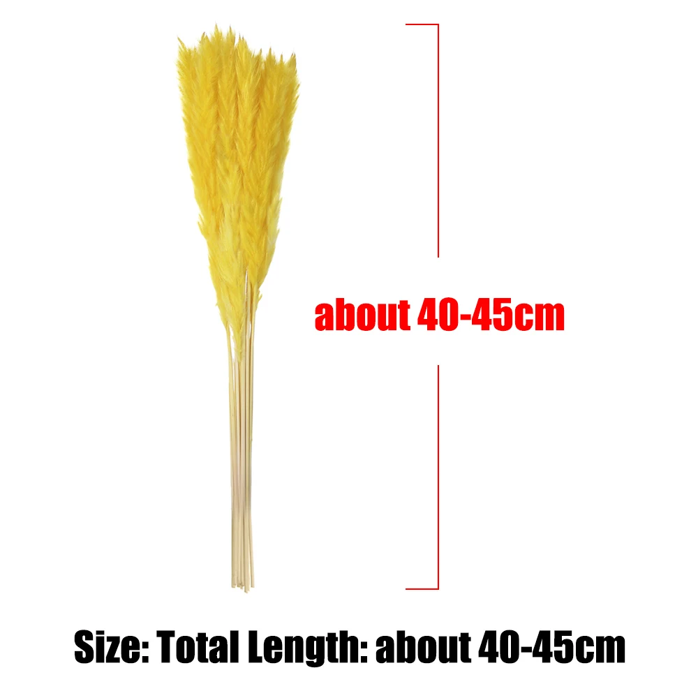 Букет из сушеных пампасов набор 15 штук натуральный тростниковый букет для