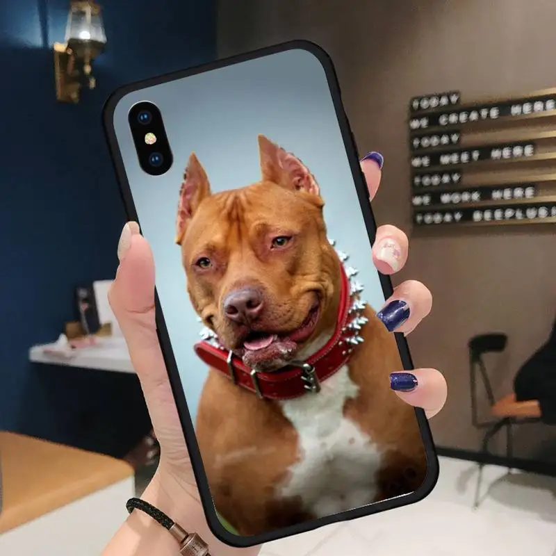 

Pit Bull Dog Pitbull cute dog high quality Phone Case funda for iPhone 11 12 pro XS MAX 8 7 6 6S Plus X 5S SE 2020 XR