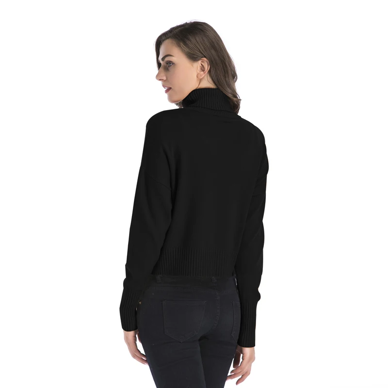 Женская модная водолазка свитер 2019 зима обычная высокая на выход вязанные топы с