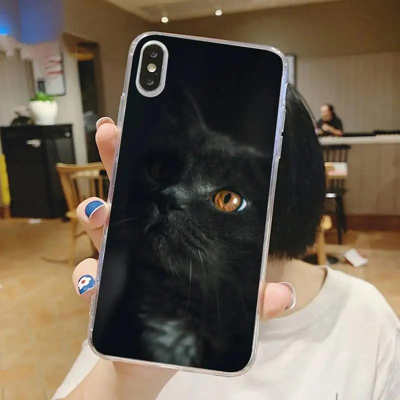 

Black Cat Staring Eye On animal Phone Case Transparent for iPhone 6 7 8 11 12 s mini pro X XS XR MAX Plus