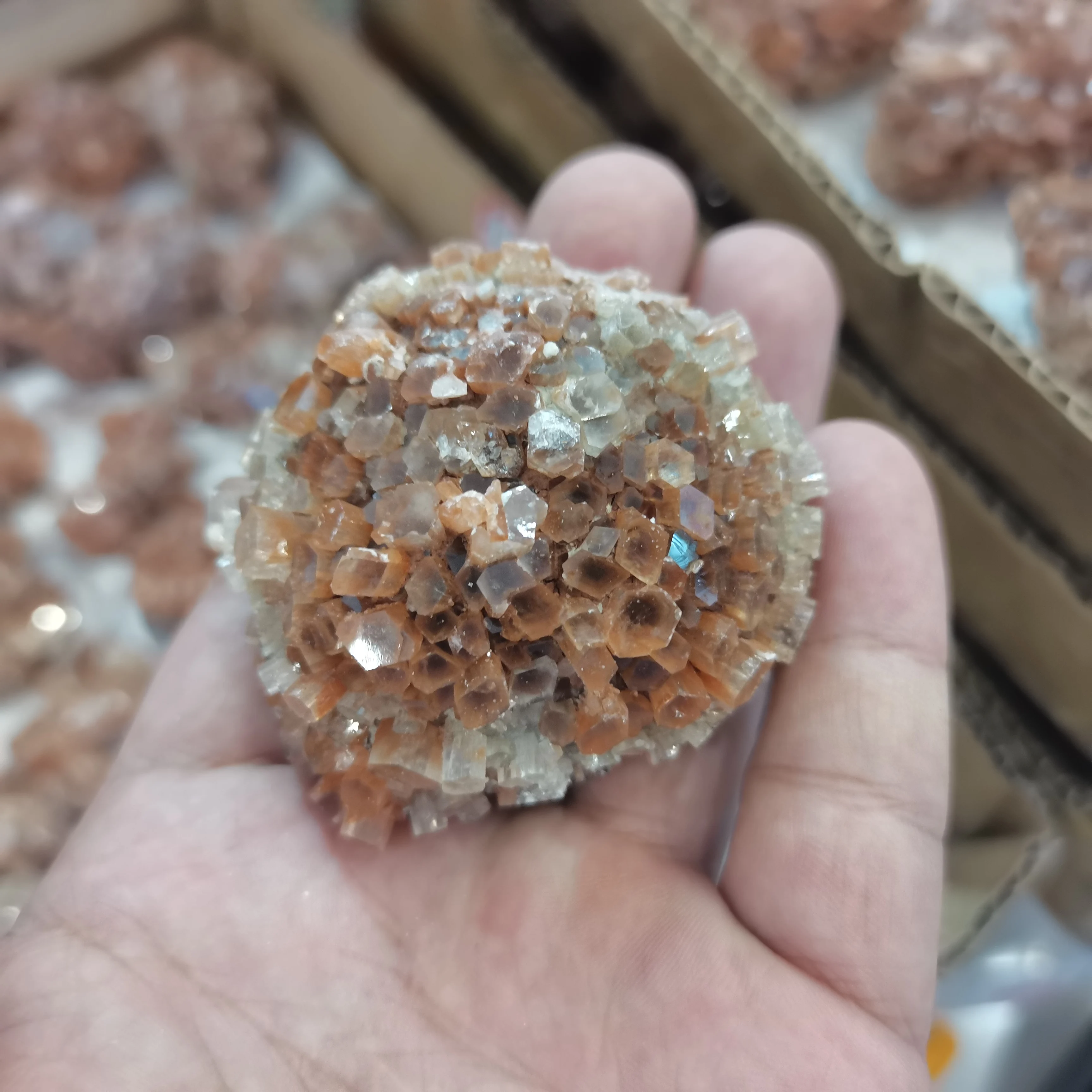 

Natural Moroccan flower-like nepheline ore crystal cluster teaching specimen mineral crystal ore specimen ornamental stone 1pcs