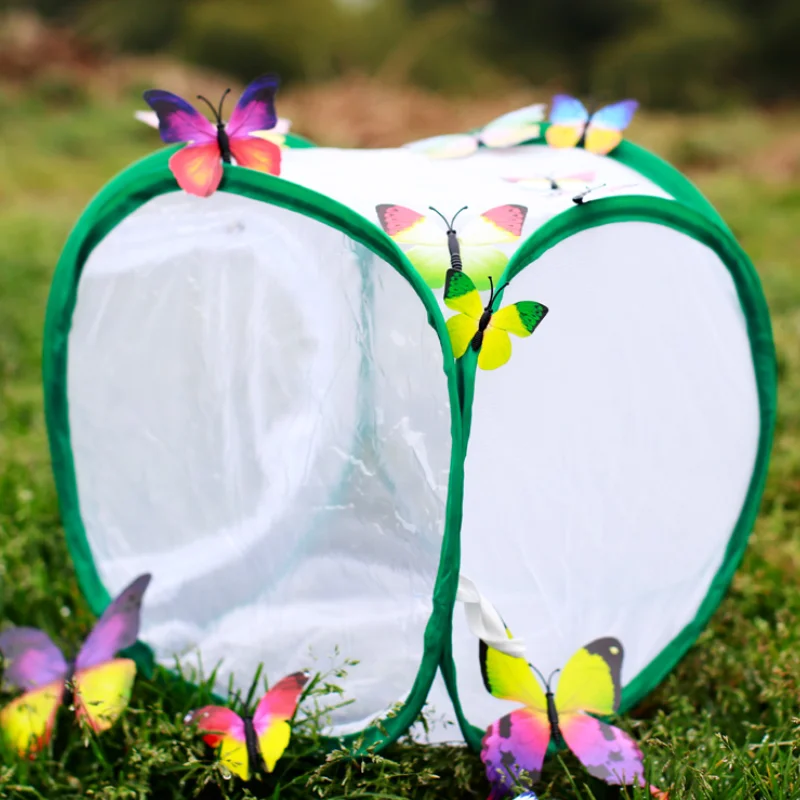 

Portable Collection Insect Box Observation Breathable Cage Insect Box Beekeeping Tools Maison Insecte Insect Terrarium Ed50id