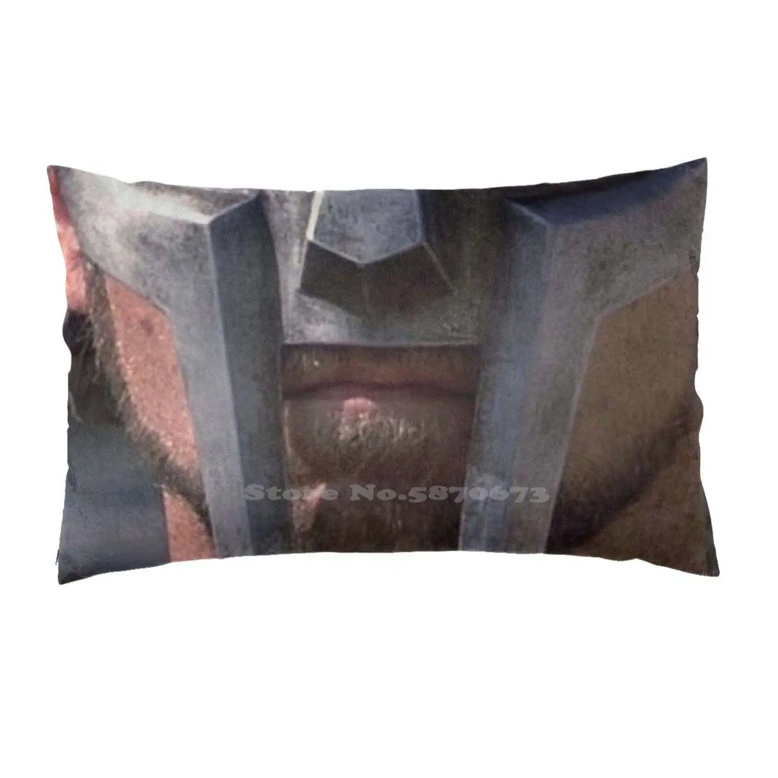 Наволочки гладиаторы для диванных подушек наволочки с принтом дома |