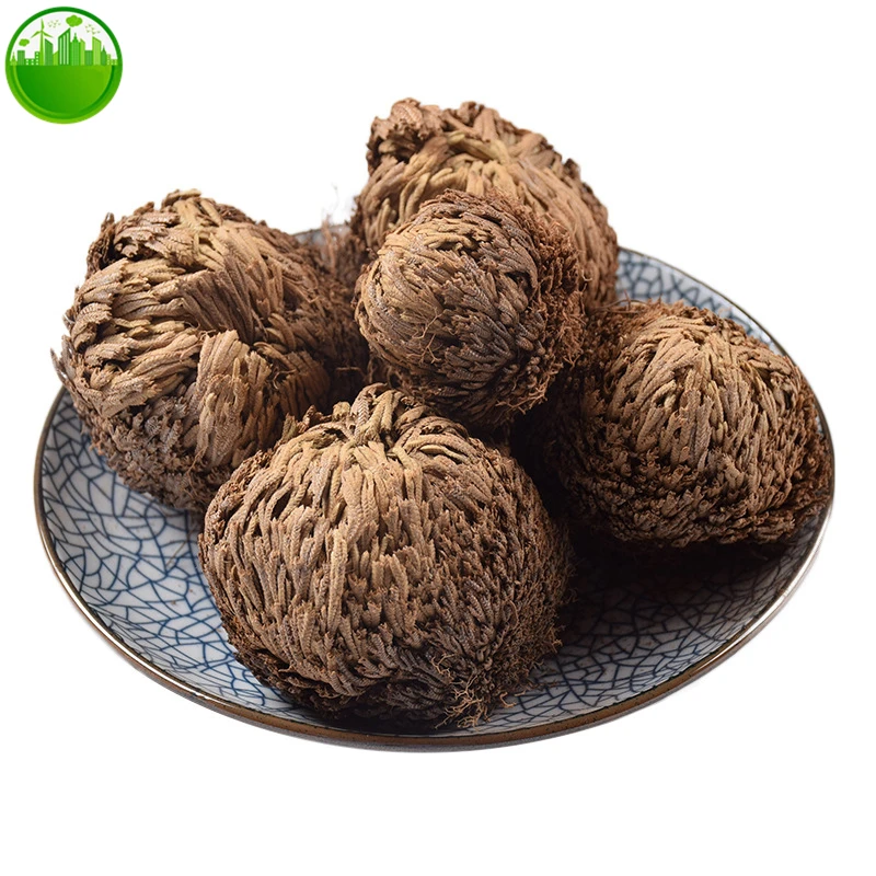 

Fu Huo Cao Rose of Jericho Selaginellae Selaginellae