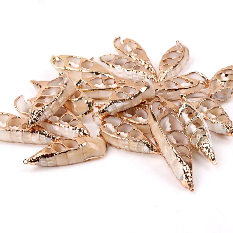 5 шт. спиральные ракушки для украшения дома|Ракушки и морские звезды| |