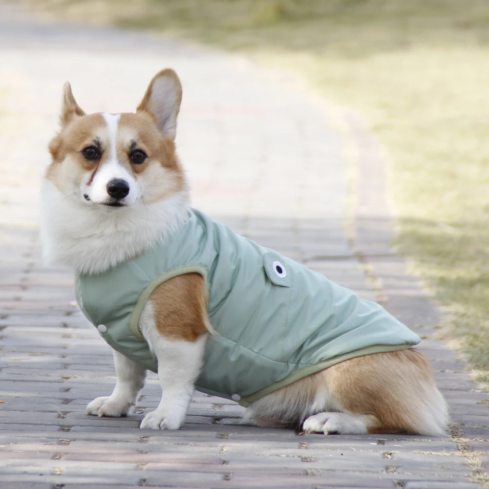 

Winter Fashion Cartoon Cute Embroidered Dog Cotton Vests Plus Velvet Teddy Corgi Clothes Keep Warm Winter Pet Clothes