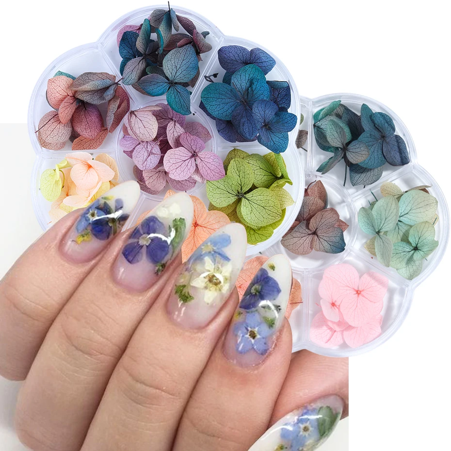 

Dried Flowers Dry Plants Nail Art Decorations Pressed Flowers for Manicure Decor Small Daisy Rose Nail Accessories Lot GL1524