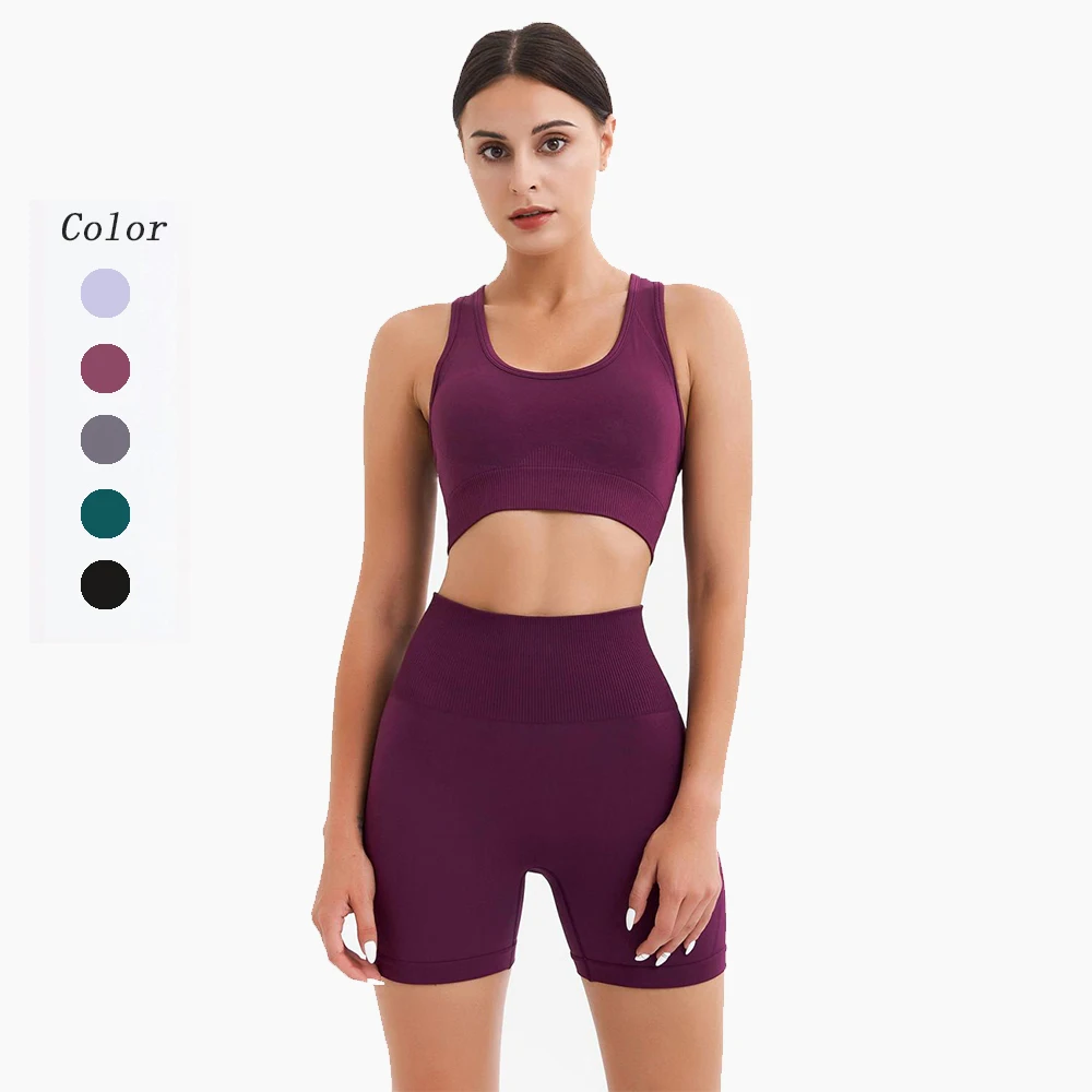 

Seamless Women Yoga Set Two Piece Set Sport Suits Gym Clothing Workout Sportswear High Waist Seamless Leggings Sports Crop Top