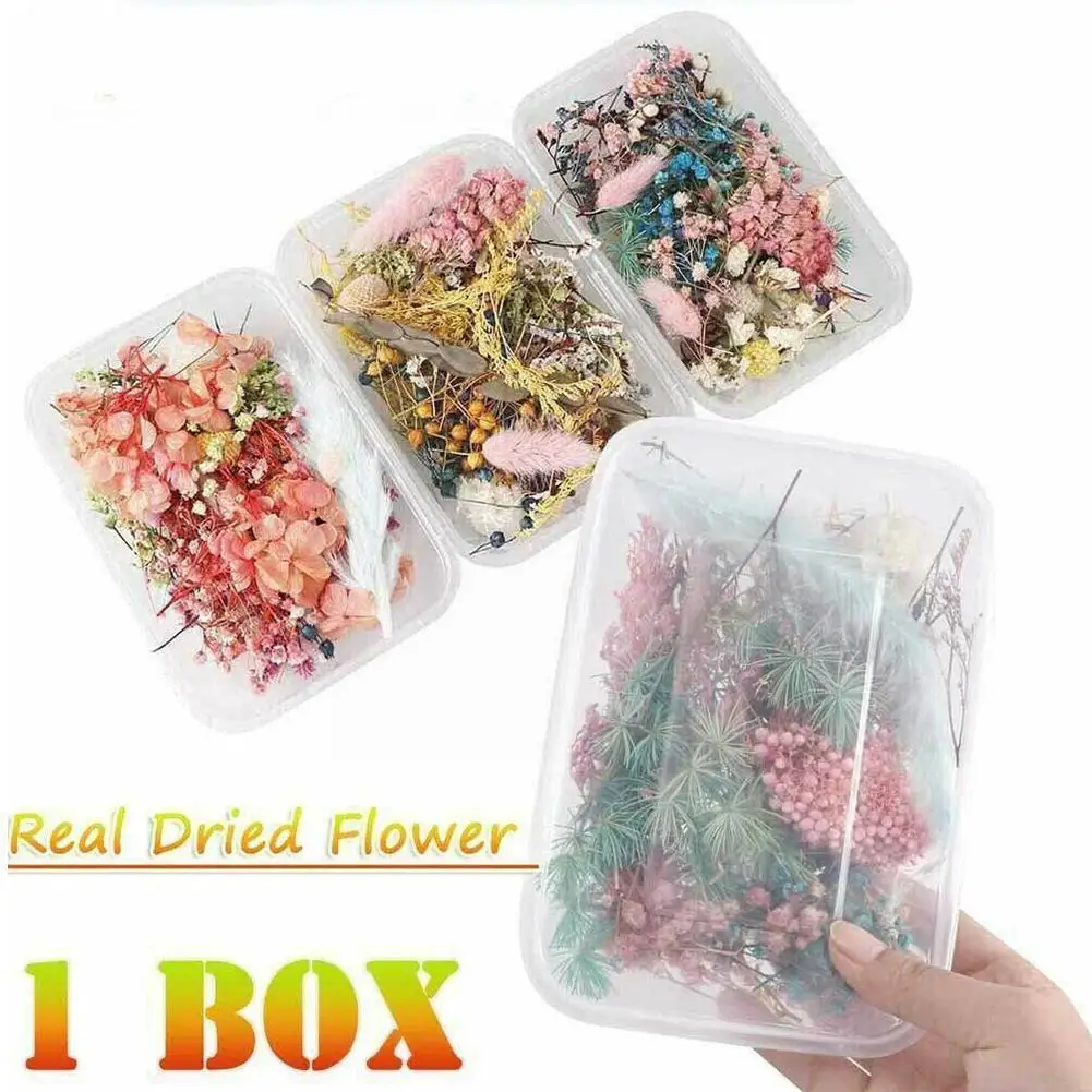 

Random 1box More Than 8 Style Mix Flower Pressed Dried Making Leaves Accessories Dry Jewelry For Nail Decors Diy Plants Art N9A0