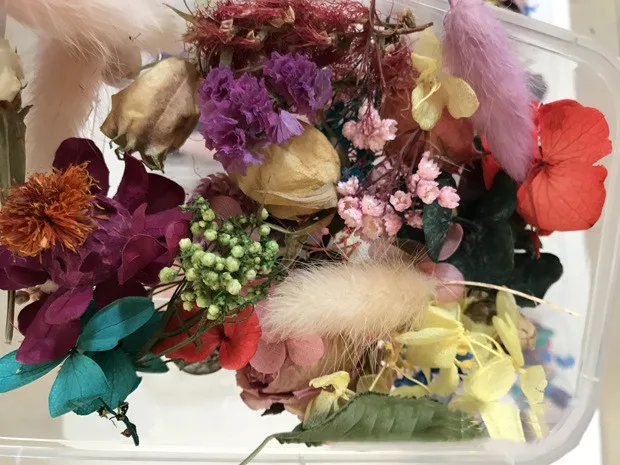 Натуральные сухие цветы цветочный Искусство ремесло скрапбукинга Смолы Форма