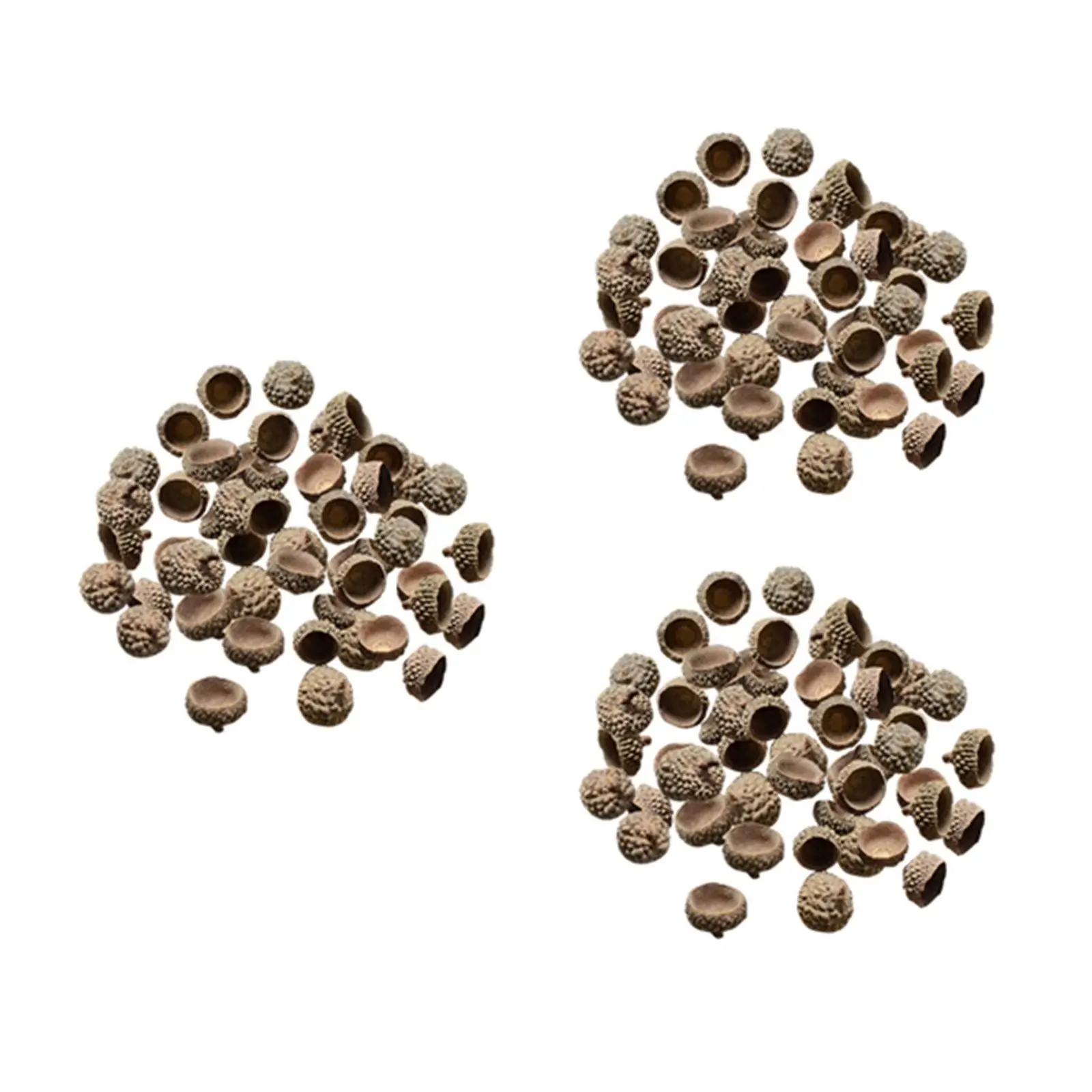 

300Pcs Natural Acorns Real Acorns Caps Home DIY Christmas Natural Acorn Caps