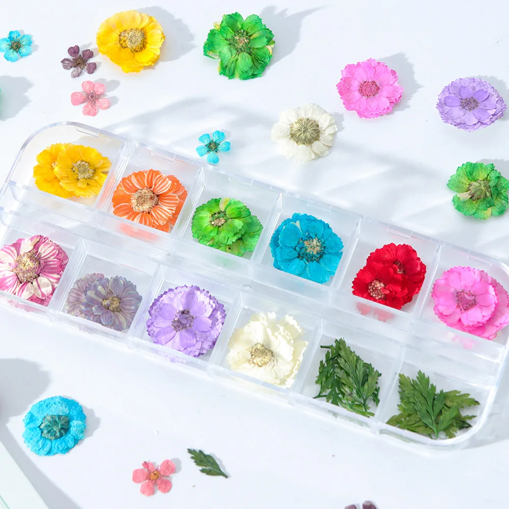 

Nail Art Decorations Boxed Nail Dried Flower Ornaments 6 Japanese Women's Trends Nail Art Decorations Nails Nail Supplies